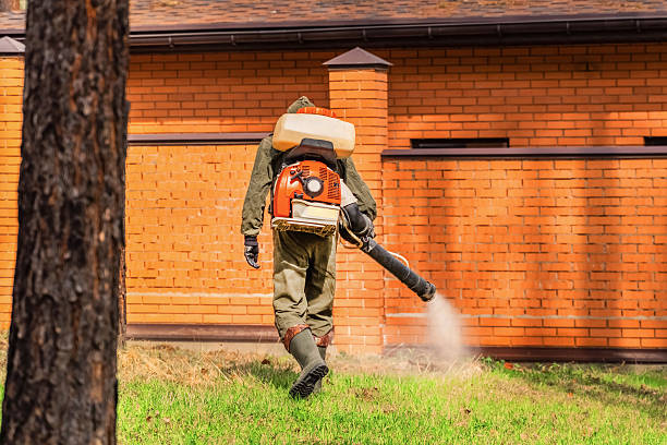 Trusted Termite Control service in Washington Park, IL - Nex Pest Control